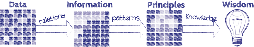 Data to Wisdom